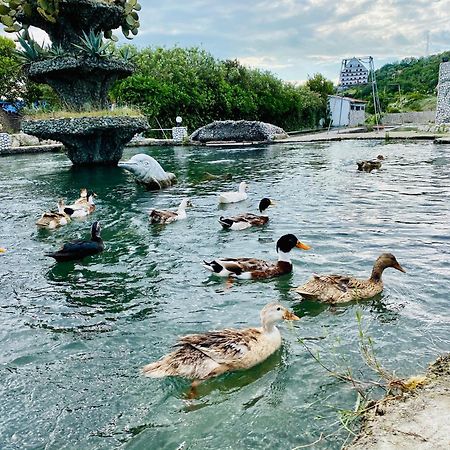 Kompleksi Turistik Dea Mjede Exterior foto