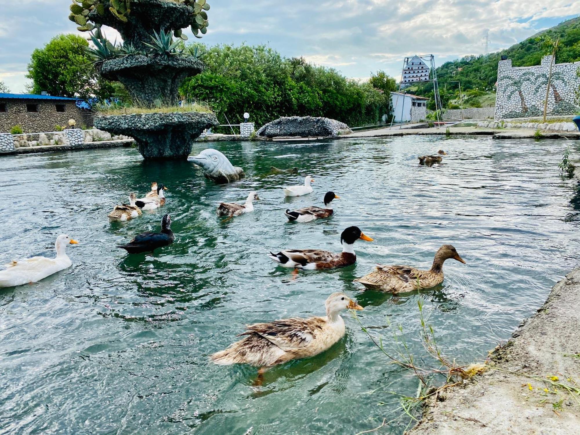 Kompleksi Turistik Dea Mjede Exterior foto