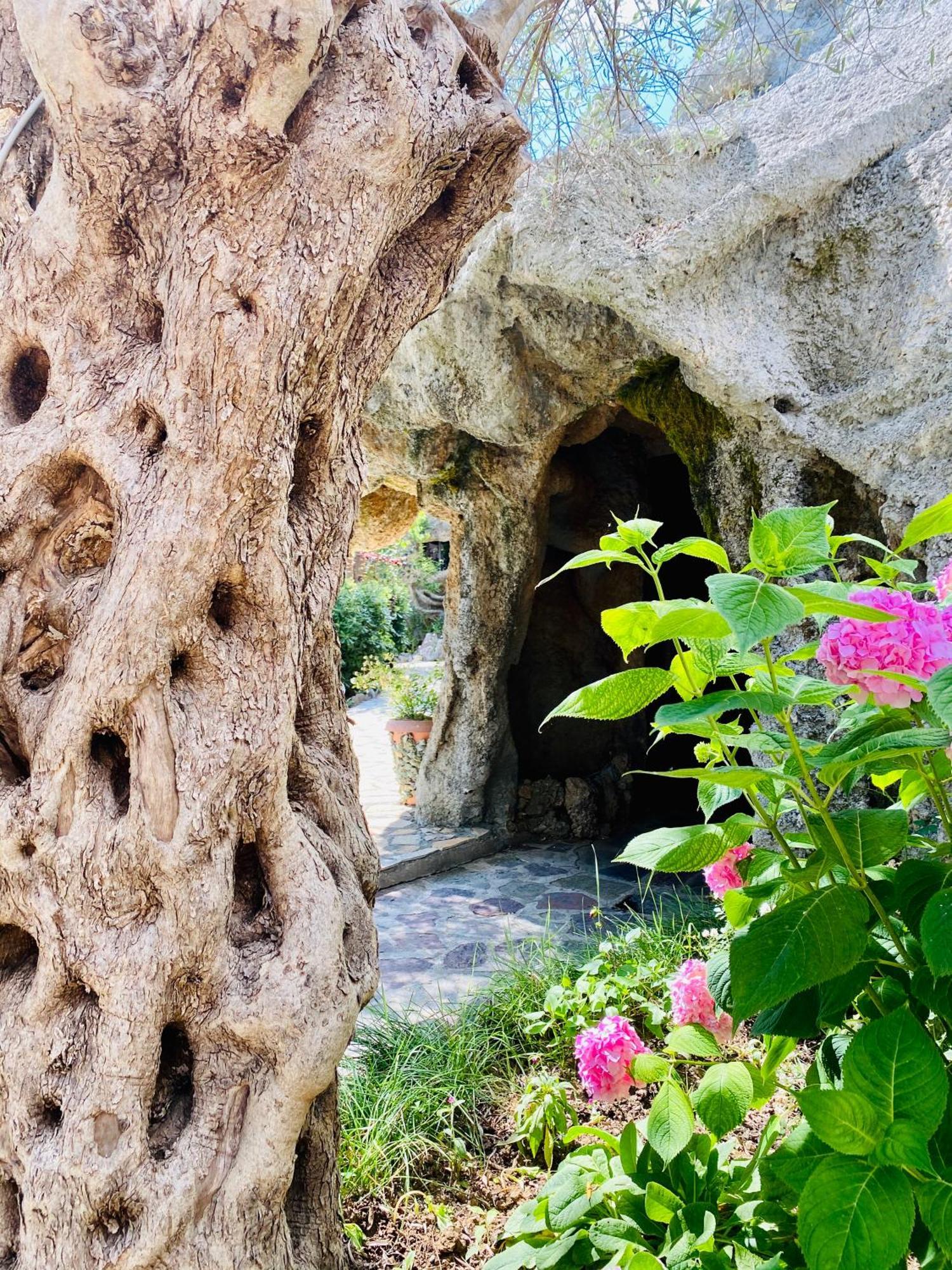 Kompleksi Turistik Dea Mjede Exterior foto